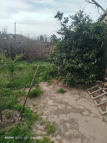 Uzunmüddətli kirayə evlər: 100 kv. m, 3 otaqlı — 1