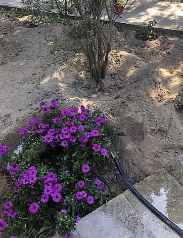 Duş kabinaları, arakəsmələr: Arakəsmə, Künc üçün — 15