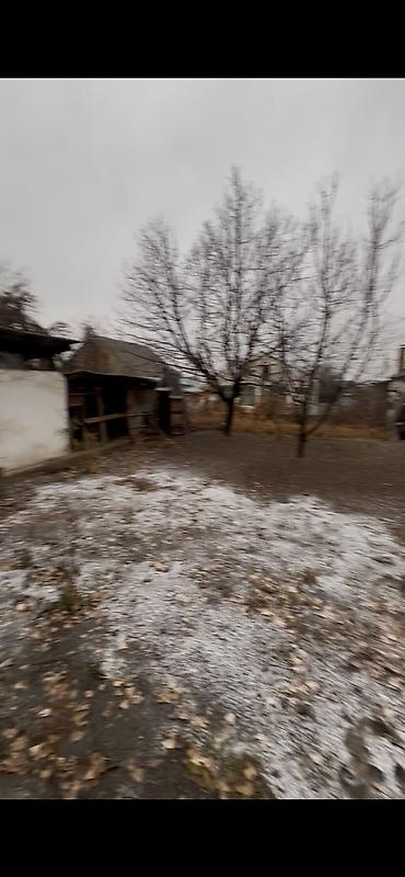 Долгосрочная аренда домов: 5 м², 3 комнаты, Забор, огорожен, Парковка, Подвал, погреб — 12