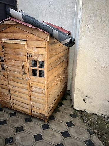 купить забор для дачи: Taxta həyət tövləsi / quşxana - Material: massiv taxta lövhələr — 2