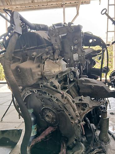 Двигатели, моторы и ГБЦ: Дизельный мотор Volkswagen 2009 г., 2 л, Оригинал, Германия — 14