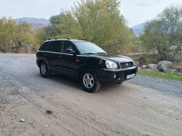 Hyundai: Hyundai Santa Fe: 2003 г., 2.4 л, Механика, Газ, Кроссовер