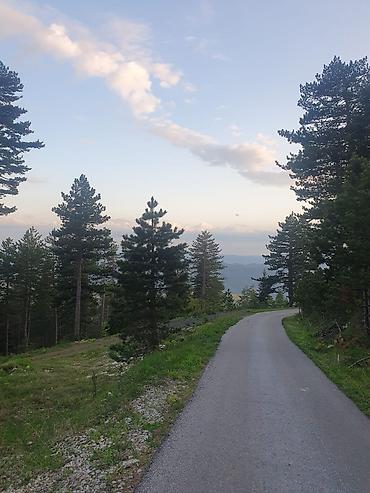 kuce na selu: Na prodaju plac 11.3 ari na Zlatiboru pored asfaltnog puta udaljenosti — 9
