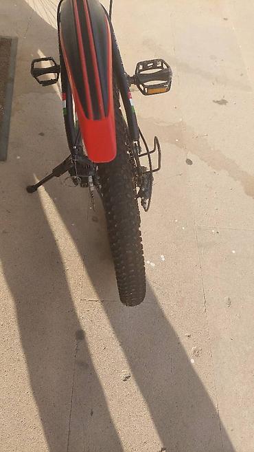 adidas velo: Salam melumat ücün whatsappda yiğa bilesiz RIYAL ALICYA ENDIRIM — 7