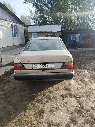 мерс дипламат: Mercedes-Benz W124: 1989 г., 2.3 л, Бензин, Седан — 1