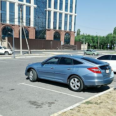 зимнее: Honda Crosstour: 2010 г., 3.5 л, Автомат, Газ, Кроссовер — 3