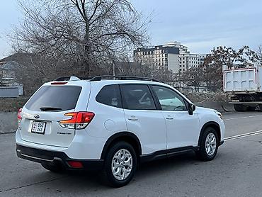туманник: Subaru Forester: 2019 г., 2.5 л, Автомат, Бензин, Кроссовер — 3