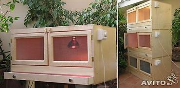 продаю птиц: Многоярусные клетки/брудеры для птицы и мелких животных - — 6