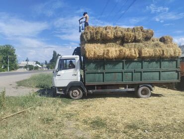 грузовой ош: Грузовик, Б/у