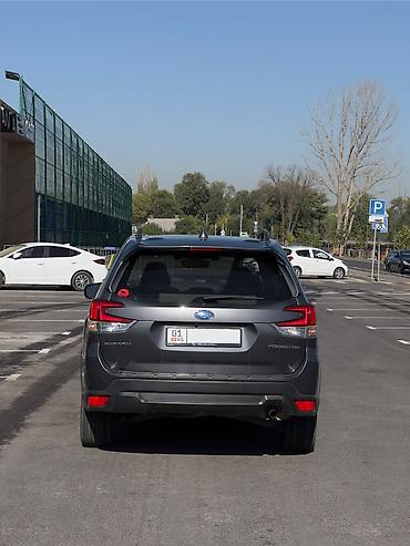 forest: Subaru Forester: 2020 г., 2.5 л, Автомат, Бензин, Кроссовер — 3