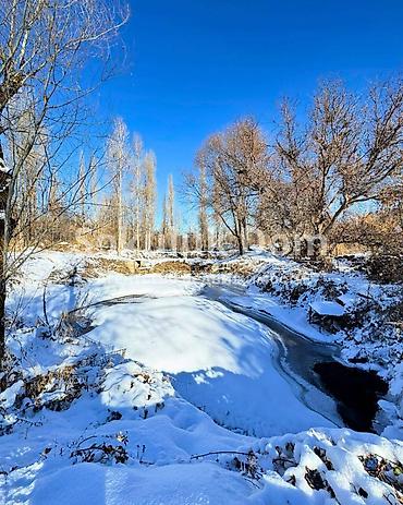 Продажа дач: 🏠Продается дачный дом в с. Саз (Вишенка) с прудом 🟡 Комнаты: 1 🟡 — 10
