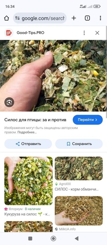 лазерный уровень купить в бишкеке цены: Корма для с/х животных