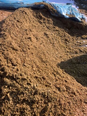 Корма для с/х животных: Силос кукурузный - Корм для КРС, МРС и свиноводства - Однородная — 6