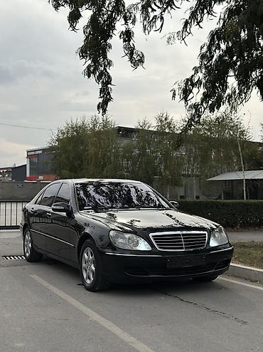 Продажа авто: Mercedes-Benz S-Class: 2004 г., 5 л, Автомат, Бензин, Седан — 3