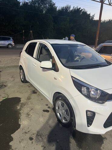 Kia: Kia Morning: 2017 г., 1 л, Автомат, Бензин, Хэтчбэк