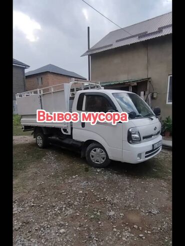 купить кролик декоративный: Вывоз Мусора Вывоз Мусора Вывоз Вывоз Мусора Вывоз Мусора