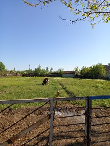 Həyət evləri və villaların satışı: 8 otaq, 36 kv. m, Yeni təmirli — 6