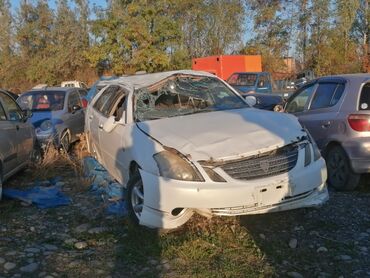 тоёта марк 2: Toyota Mark II: 2005 г., 2.5 л, Автомат, Газ, Универсал