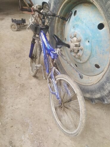 Smart saatlar: Yeni, Smart saat, Amazfit, Sim kart, rəng - Ağ — 21