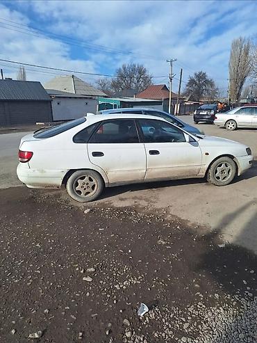 e klass: Toyota Carina E: 1995 г., 1.8 л, Механика, Бензин, Хэтчбэк — 4