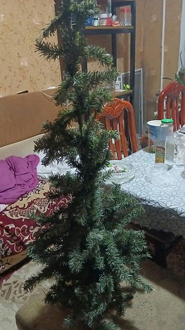 şaxta baba saxta can: Yolka satilir yeni kimidiölçüsü 1.20 :sm qiymeti 15 azn shaxta baba — 2
