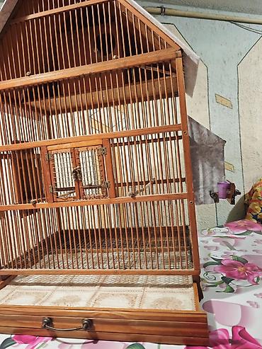 hind quşu: Taxta quş qəfəsi – ev formasında dizayn - Material: təbii ağac və — 3