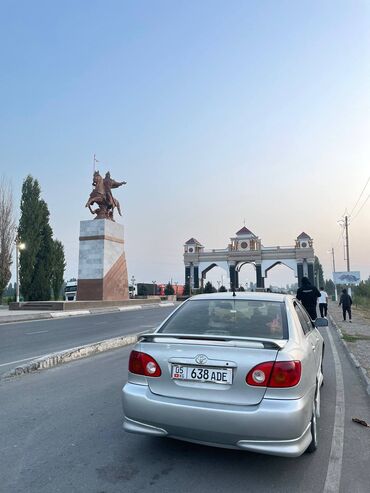 работа в тц: Утюжник