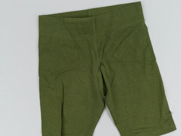 zielone krótkie spodenki: Leggings Shorts for women, S (EU 36)