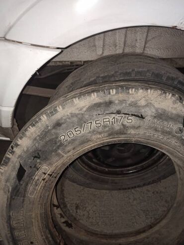 шины маз: Шины 205 / 75 / R 17.5, Б/у, 1 шт, Грузовики/Автобусы, Корея, Marshal