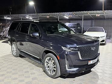 кодилак эскалейд: Cadillac Escalade: 2023 г., 6.2 л, Автомат, Бензин, Внедорожник — 1