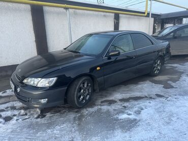 тойота старушка: Toyota Windom: 2001 г., 2.5 л, Автомат, Бензин, Седан