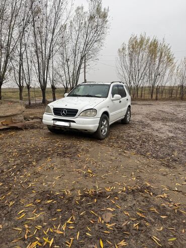 мерс рекис: Mercedes-Benz M-Class: 1999 г., 3.2 л, Автомат, Газ, Жол тандабас