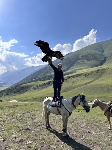 Трансфер, пассажирские перевозки: По региону Такси, легковое авто | 6 мест — 12
