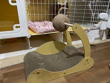 кролик бишкек: Домик для животных,(кролик; кошек и т.д ) Есть все необходимые вещи — 4