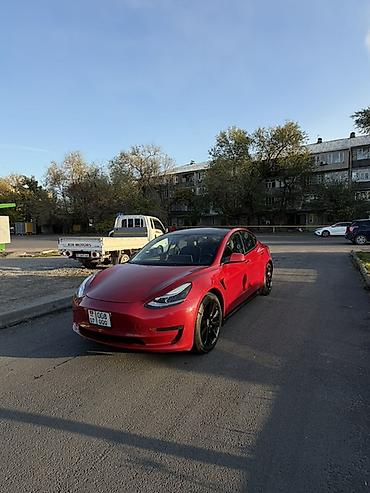 Tesla: Tesla Model 3: 2022 г., Электромобиль, Седан — 1