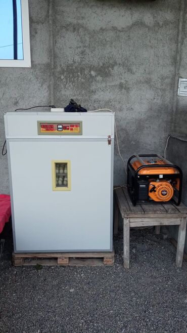 Digər: Broyler aparatı 1056yumurta tutur birdə generator