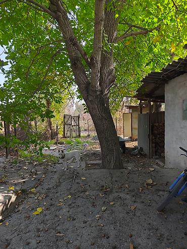 цони: Дом, уч.17,5 соток, можно под бизнес или квартиры строить — 8