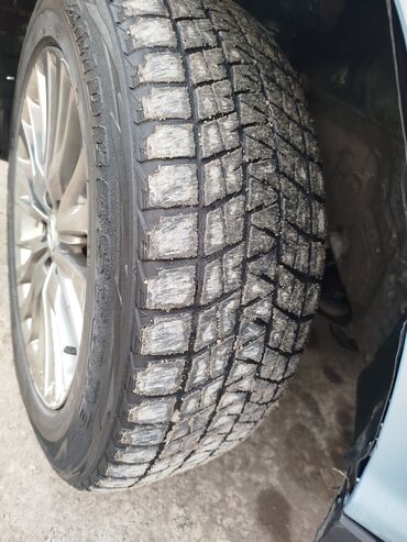 Lexus: Lexus RX: 2004 г., 3 л, Автомат, Бензин, Внедорожник — 11