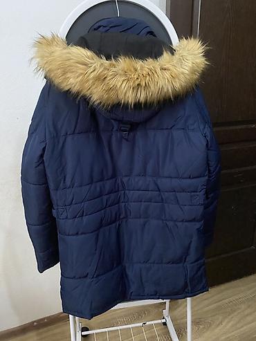 Kurtkalar: Kurtka, Zamşa, Qış, Zara, L — 6