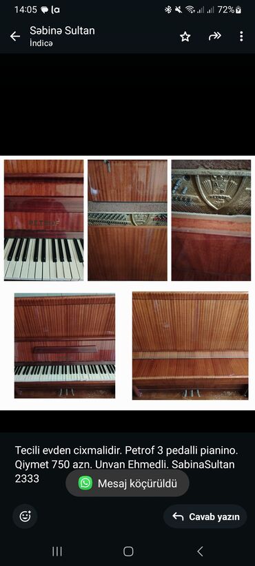 pedalli masinlar: Piano, Petrof, Akustik