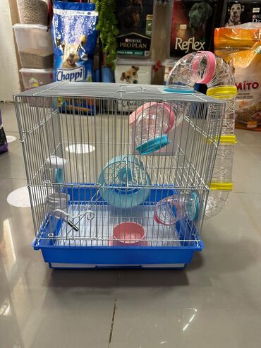 Qəfəslər: Hamster üçün qəfəs.Başqa modellərdə var.
Zoo_style_zoo_mağaza