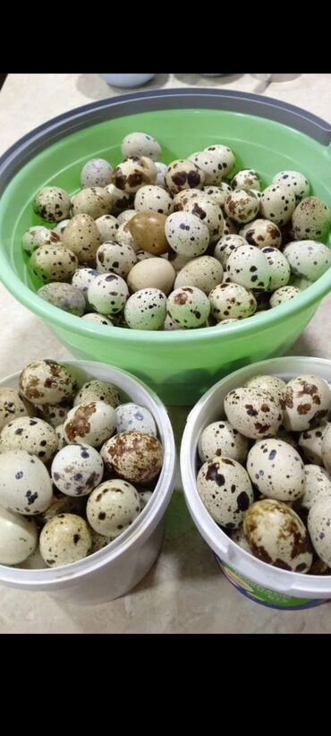 Шины: Шины 175 / 65 / R 14, Лето, Б/у, Комплект, Легковые, Китай, Goform — 9