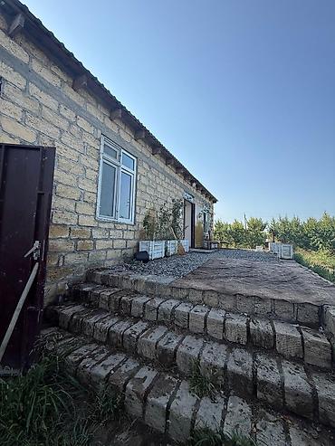 Bağ evlərinin satışı: Xaçmaz rayon yergüc kəndində 4 hektar intensiv bag satılır. Gölü var — 9
