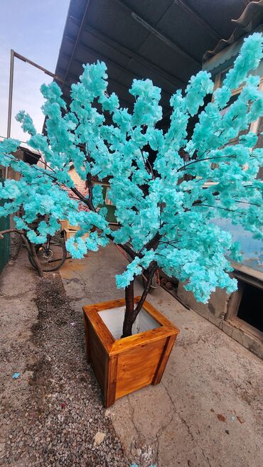 Декоративные цветы: Сакура искусственное дерево высота 2 м ширина 2 м цена от 1000 сом at lalafo.kg — 13 Декоративные цветы: Сакура искусственное дерево высота 2 м ширина 2 м цена от 1000 сом — 13