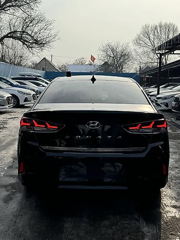 Hyundai: Hyundai Sonata: 2019 г., 2 л, Автомат, Газ, Седан — 4
