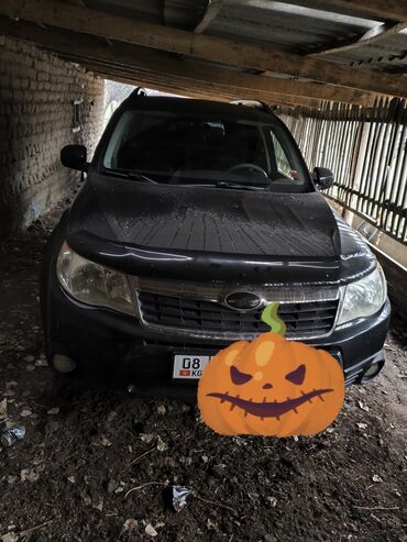 Subaru: Subaru Forester: 2008 г., 2.5 л, Автомат, Бензин, Кроссовер — 13