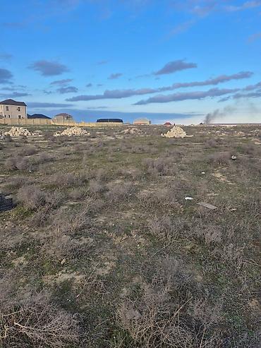 Torpaq sahələrinin satışı: 16 sot, Mülkiyyətçi, Kupça (Çıxarış) -da lalafo.az — 6 Torpaq sahələrinin satışı: 16 sot, Mülkiyyətçi, Kupça (Çıxarış) — 6