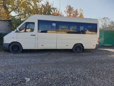 спиринтер пасажир: Mercedes-Benz Sprinter: 1999 г., 2.9 л, Механика, Дизель, Бус