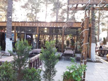 Restoran, kafelər: Sumqayıt şəhəri Nəsimi Parkında Meşəlik ərazidə yerləşən, açıq — 7