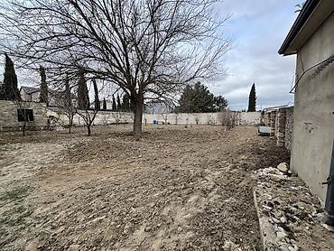 alatava ev: 10 sot, Tikinti, Mülkiyyətçi, Kupça (Çıxarış) — 4